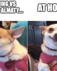 英雄联盟世界赛-省下8小时旅程！国米晒表情包：抽到了凯拉特...但是主场